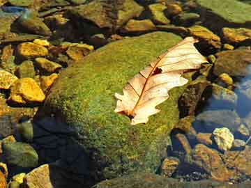 平顶山吃了打胎药吐了正常吗(吃了打胎药吐了正常吗会流血吗)